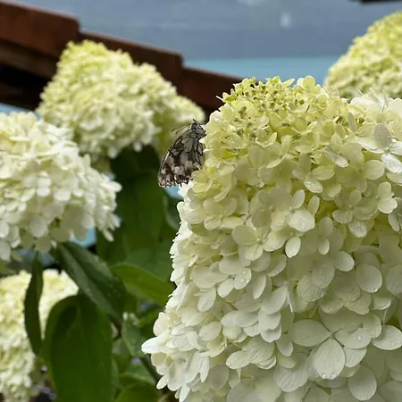 Luxury Lakeview With Ac & Near Interlaken Domek alpejski