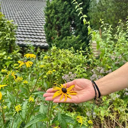 Luxury Lakeview With Ac & Near Interlaken * Niederried bei Interlaken