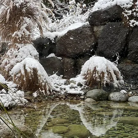 Luxury Lakeview With Ac & Near Interlaken Domek alpejski Niederried bei Interlaken