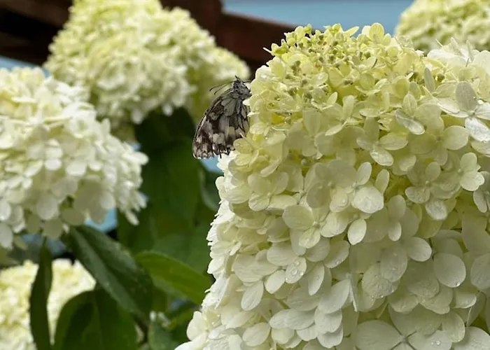 Luxury Lakeview With Ac & Near Interlaken בקתה