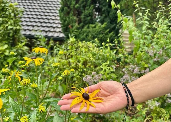 Luxury Lakeview With Ac & Near Interlaken * Niederried bei Interlaken