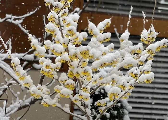 בקתה Luxury Lakeview With Ac & Near Interlaken *